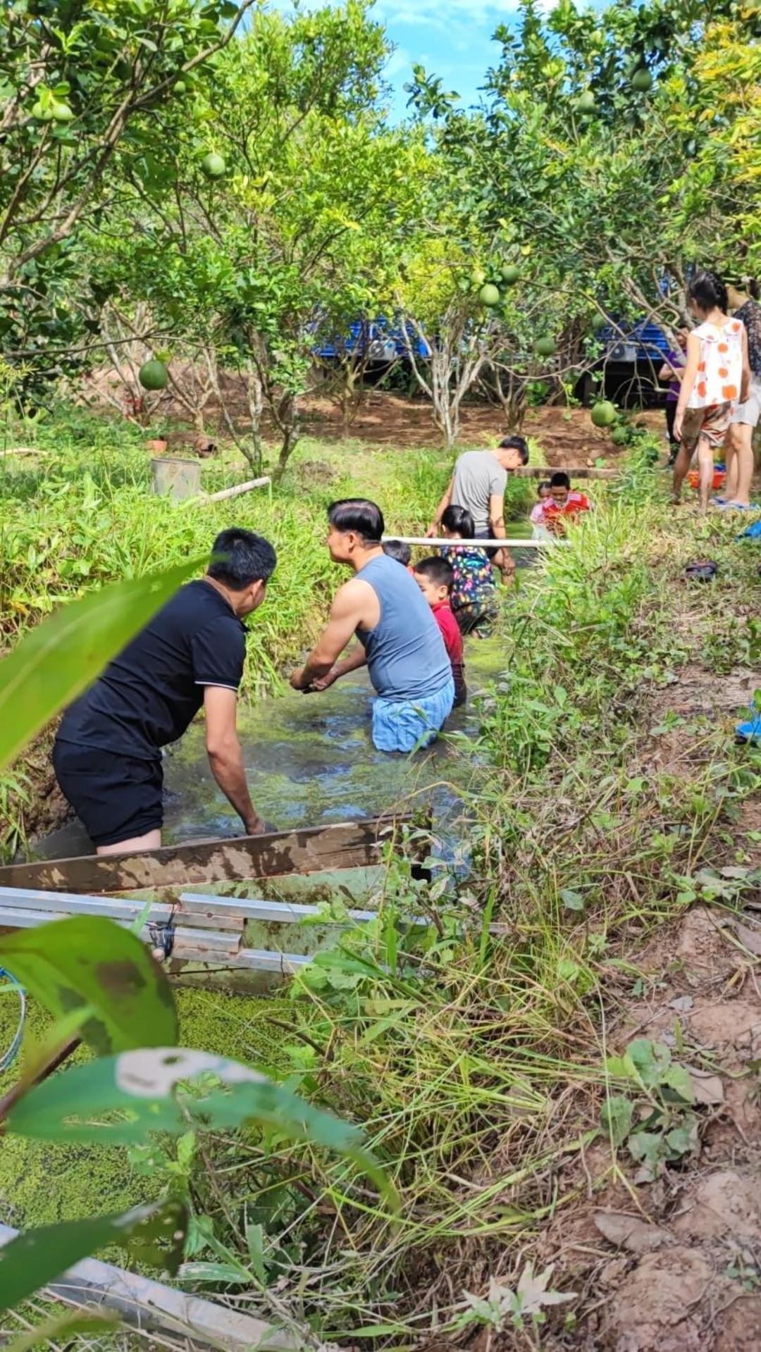 Con Phung Resort Mekong - Nature Escape With Free Boat Shuttle & Fishing Ben Tre Екстериор снимка